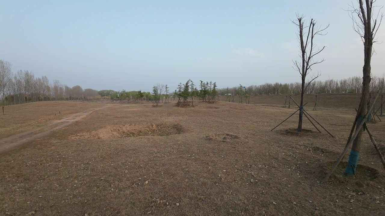 DJI_0164