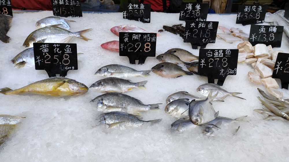 冻品鱼，冷冻食品
