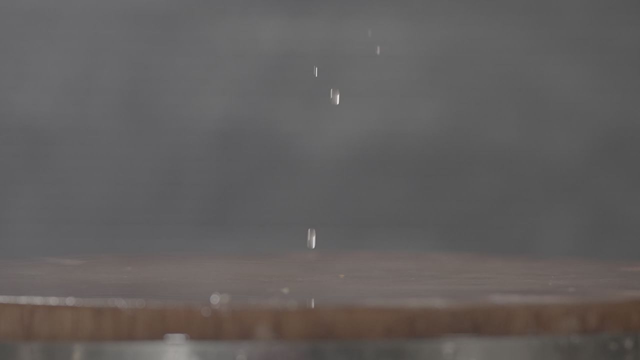 海参