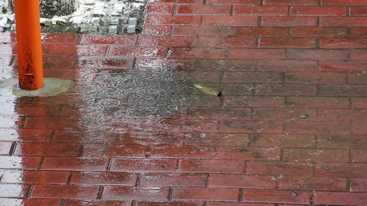 春雨洒落红砖地