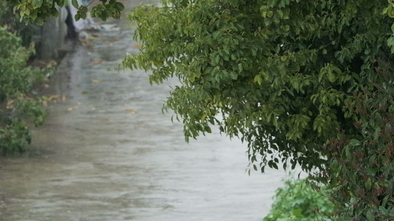 雨中的小路4K实拍