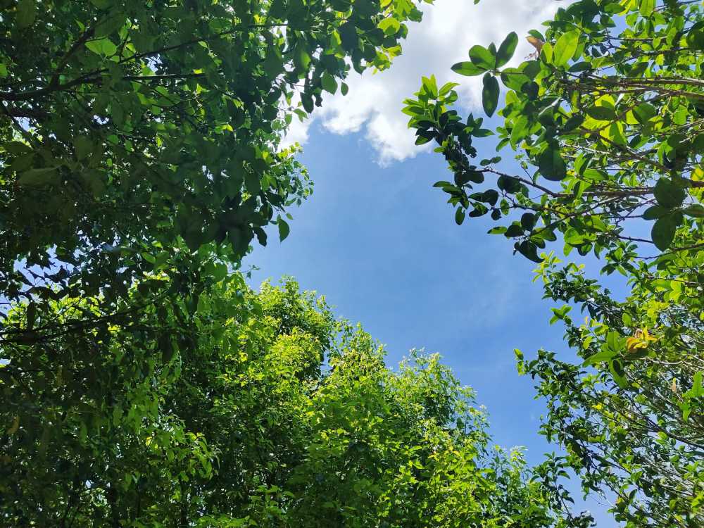 天空