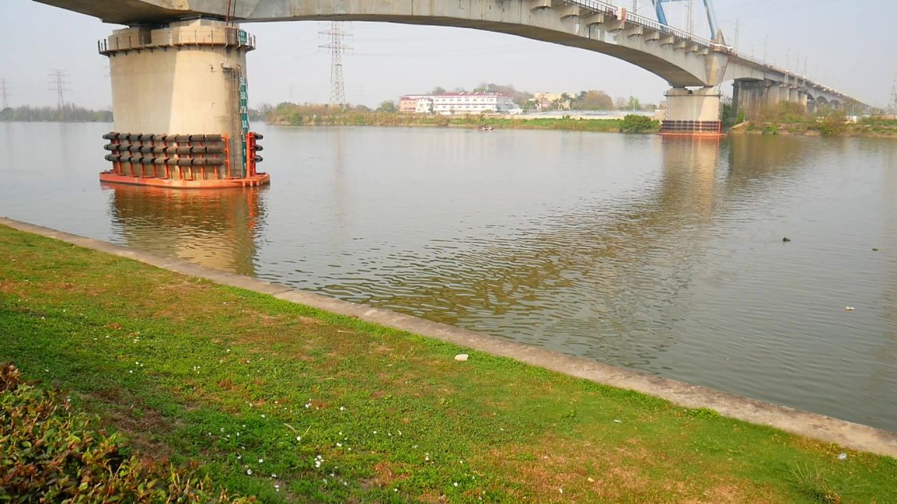 白坭河大桥3