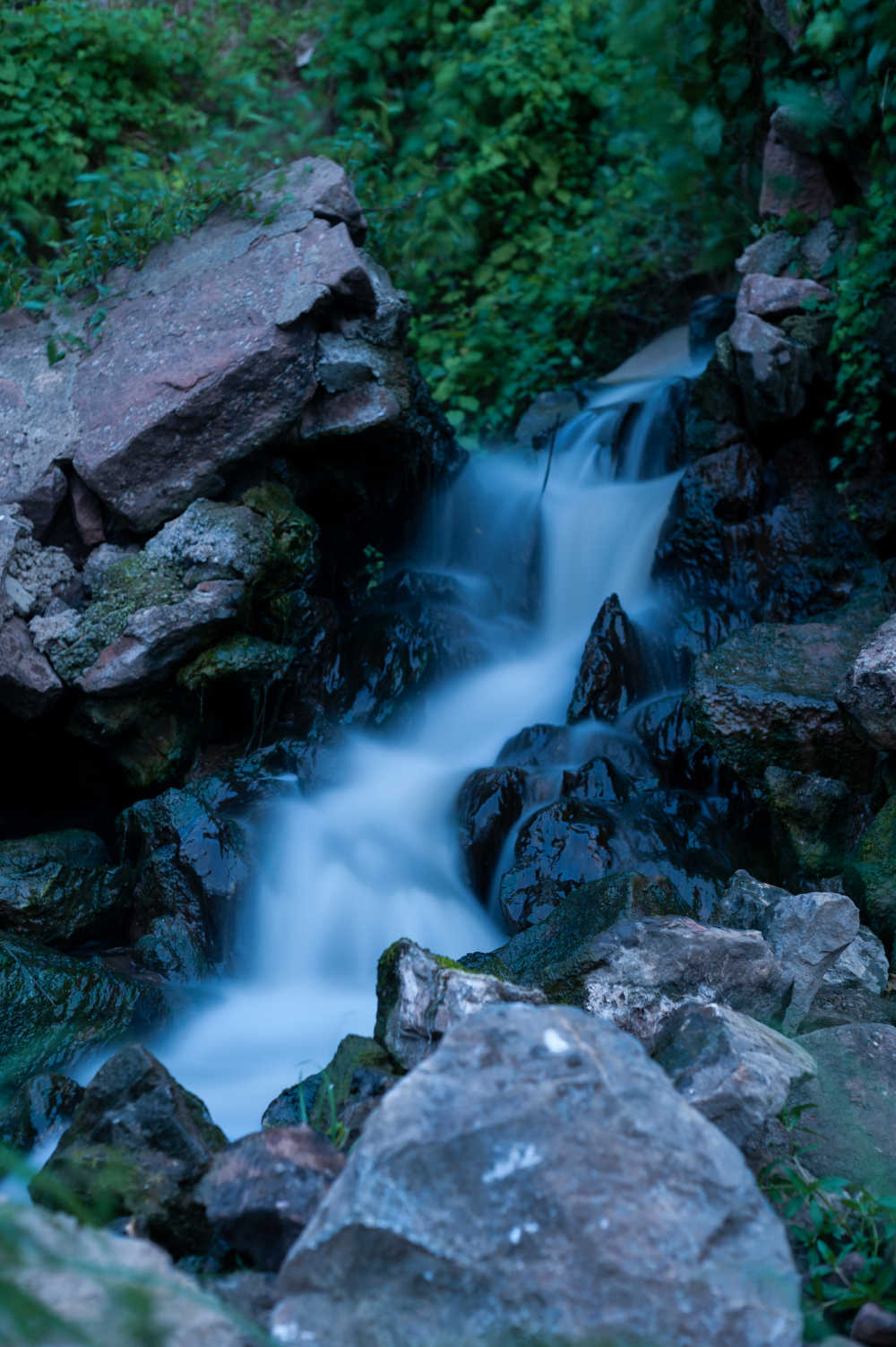 水如棉