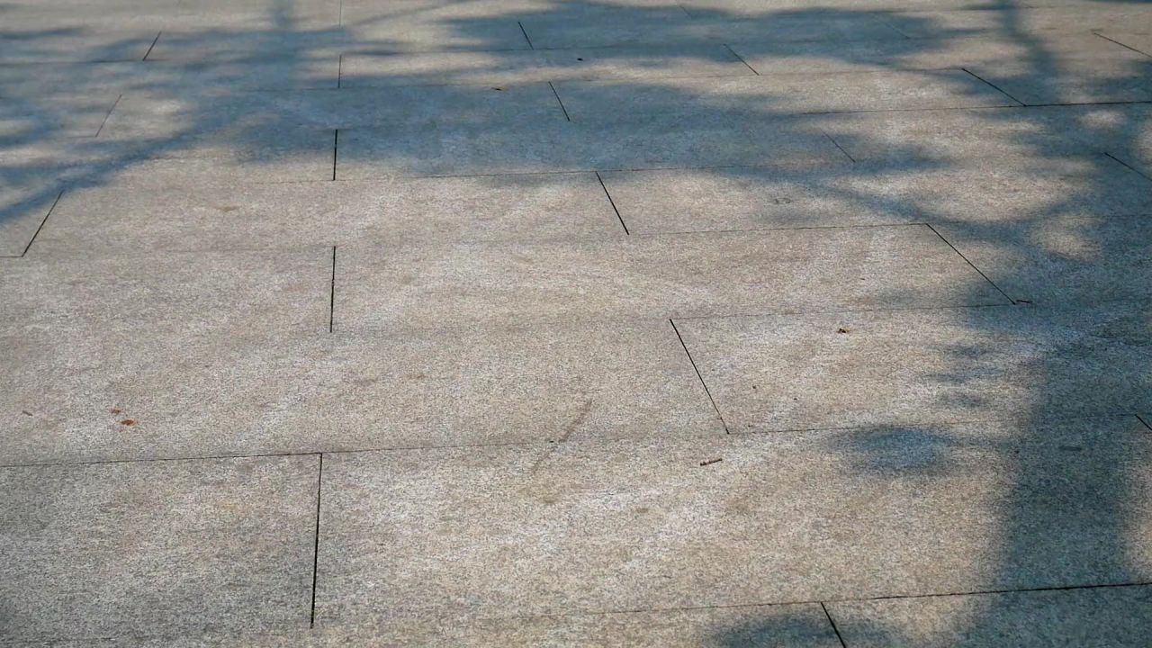 广场清风树影