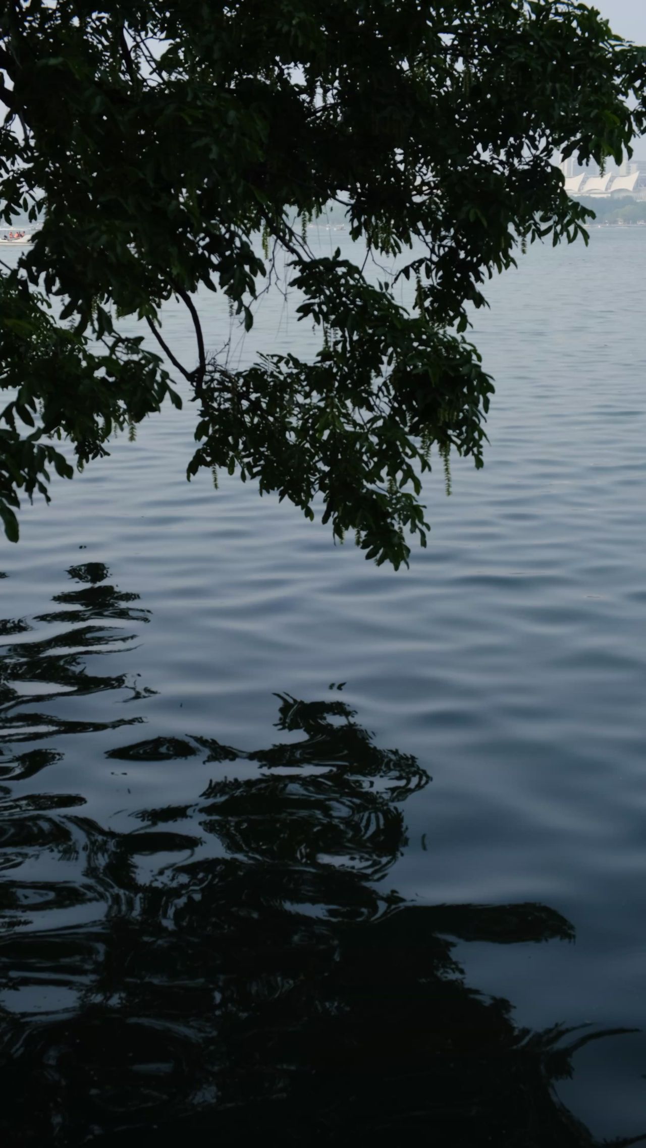 玄武湖
