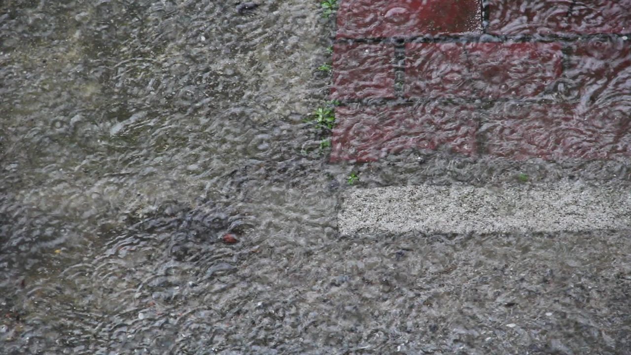 雨中涟漪繁波漾2