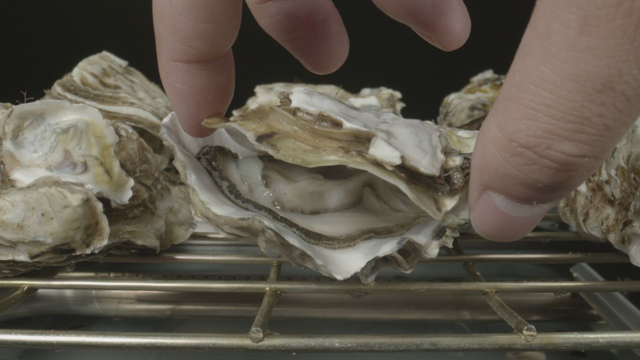 海鲜