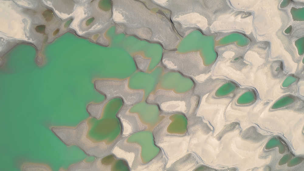 武汉天兴洲湿地