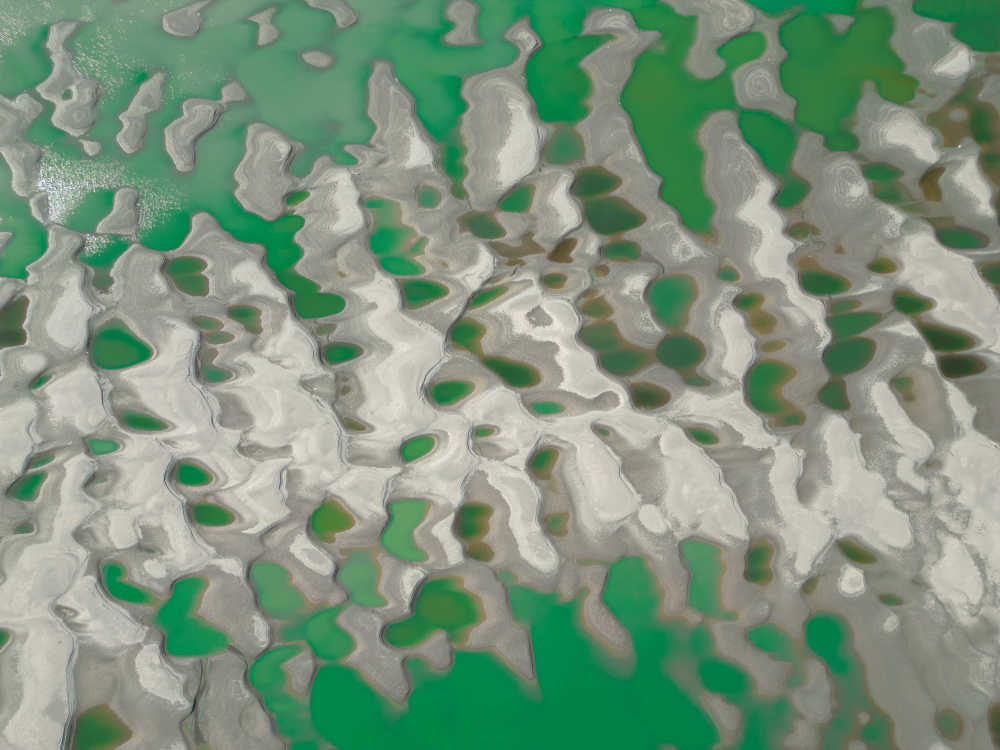 武汉天兴洲湿地