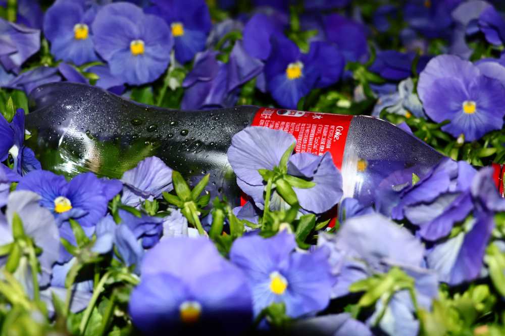 花中coke