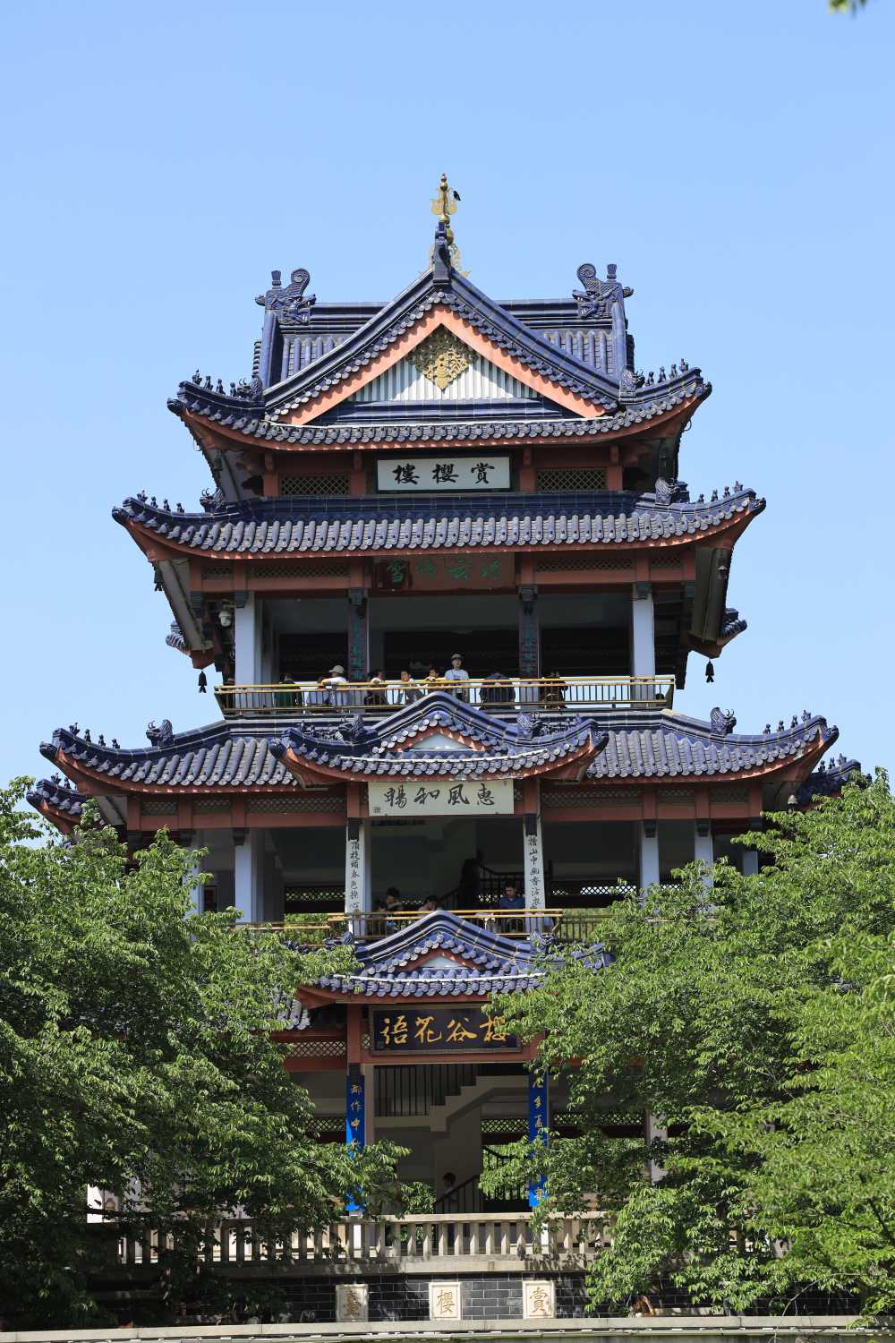 杂乱无章