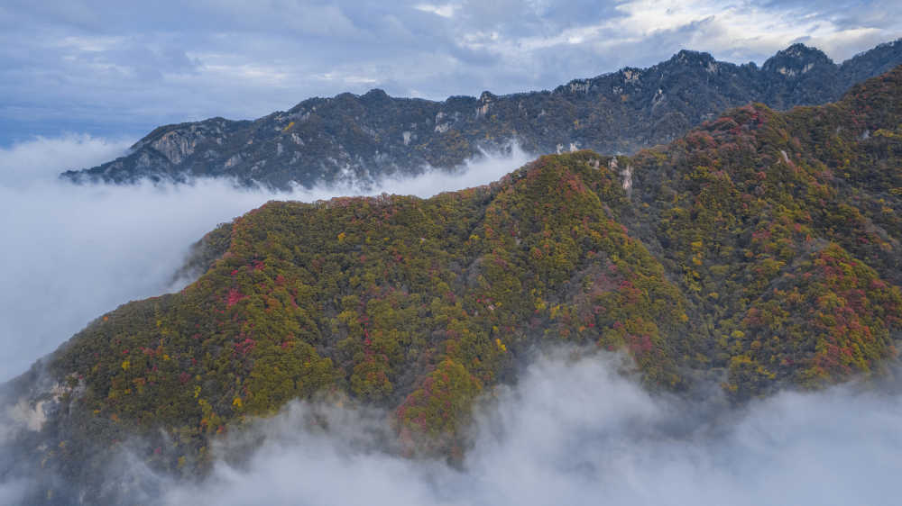分水岭云海