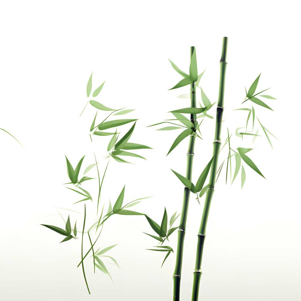 竹子叶元素超级高清