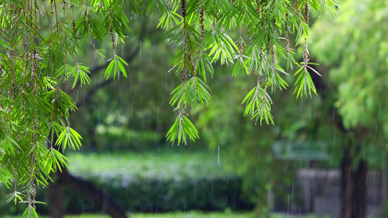 下雨天人撑伞走过的场景