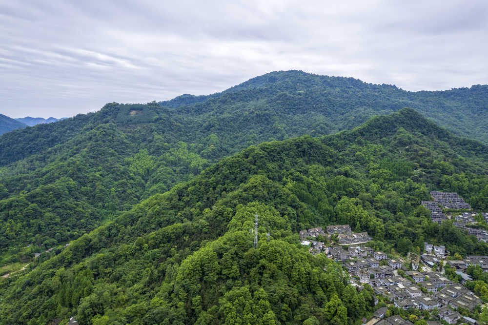 青城山