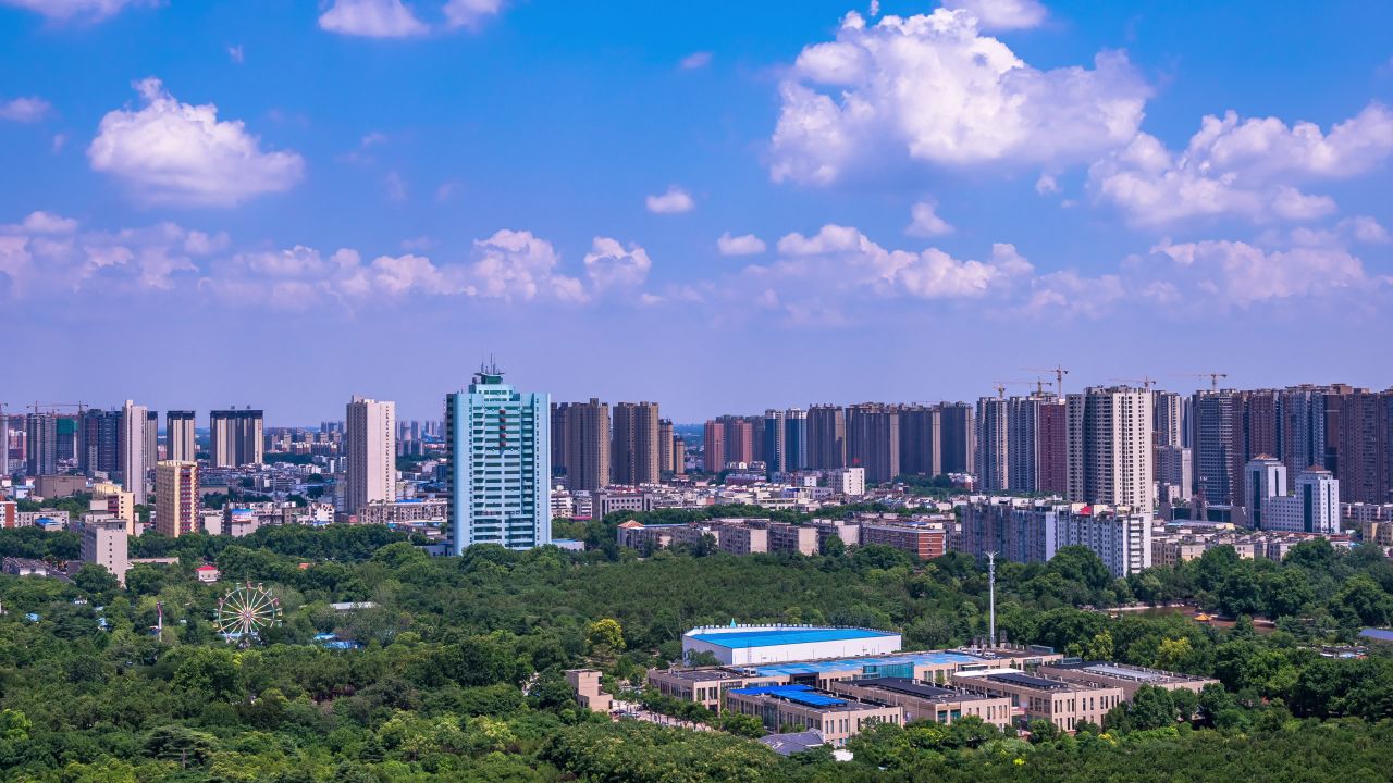 森林城市延时