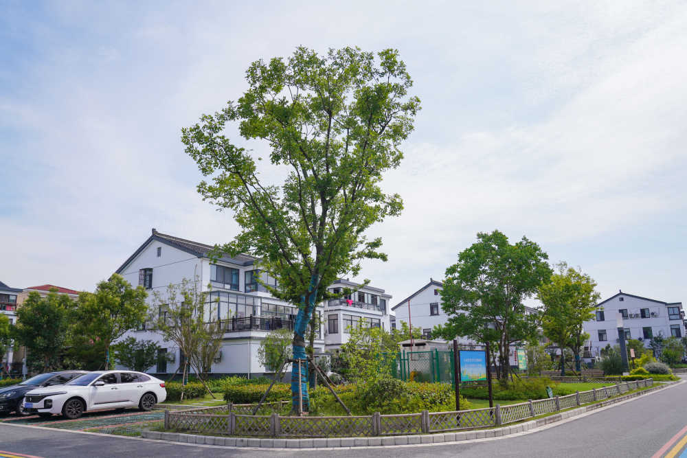 农村人居环境新风貌