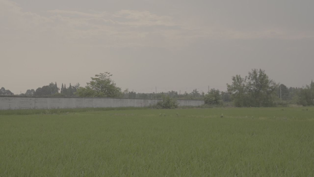 空镜头