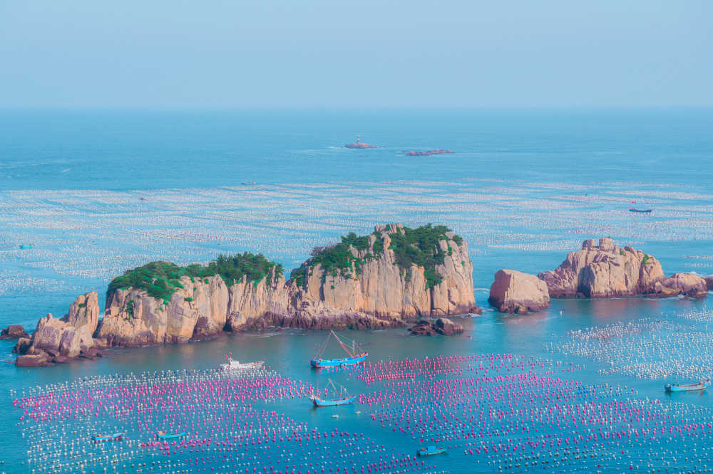 大海