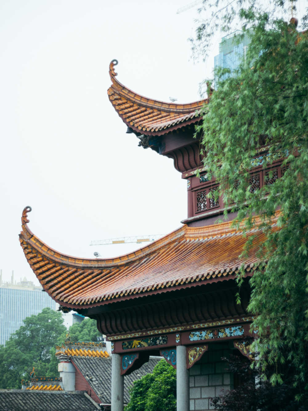 杂图组