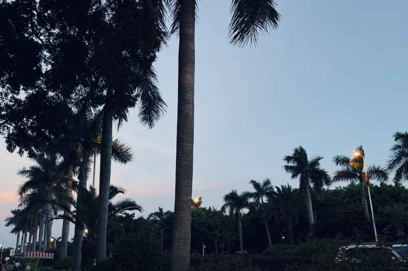 厦门曾厝垵夜景