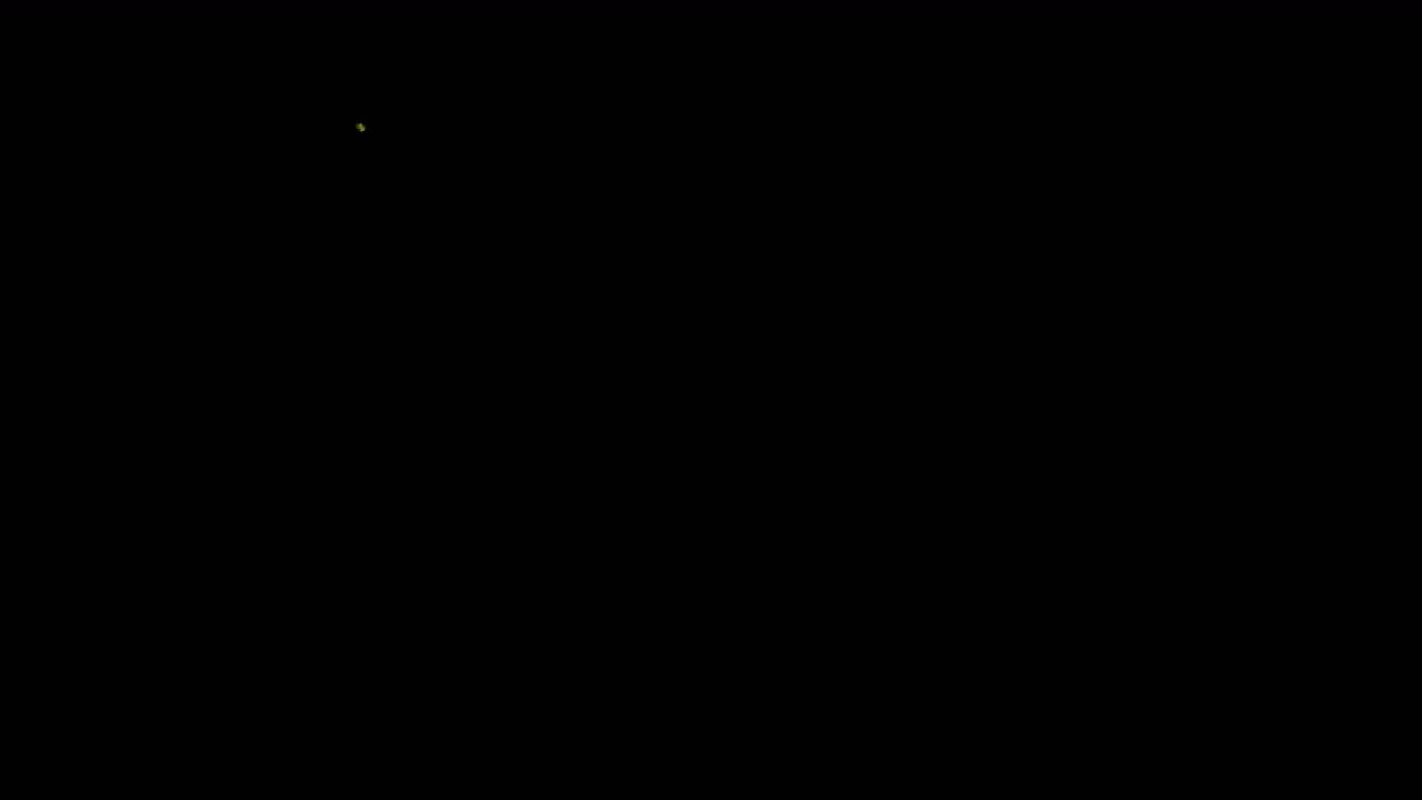 蝴蝶飞舞 带透明通道 