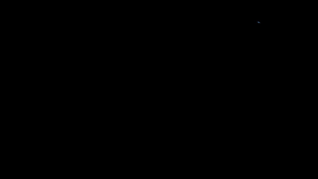 蝴蝶飞舞 带透明通道 