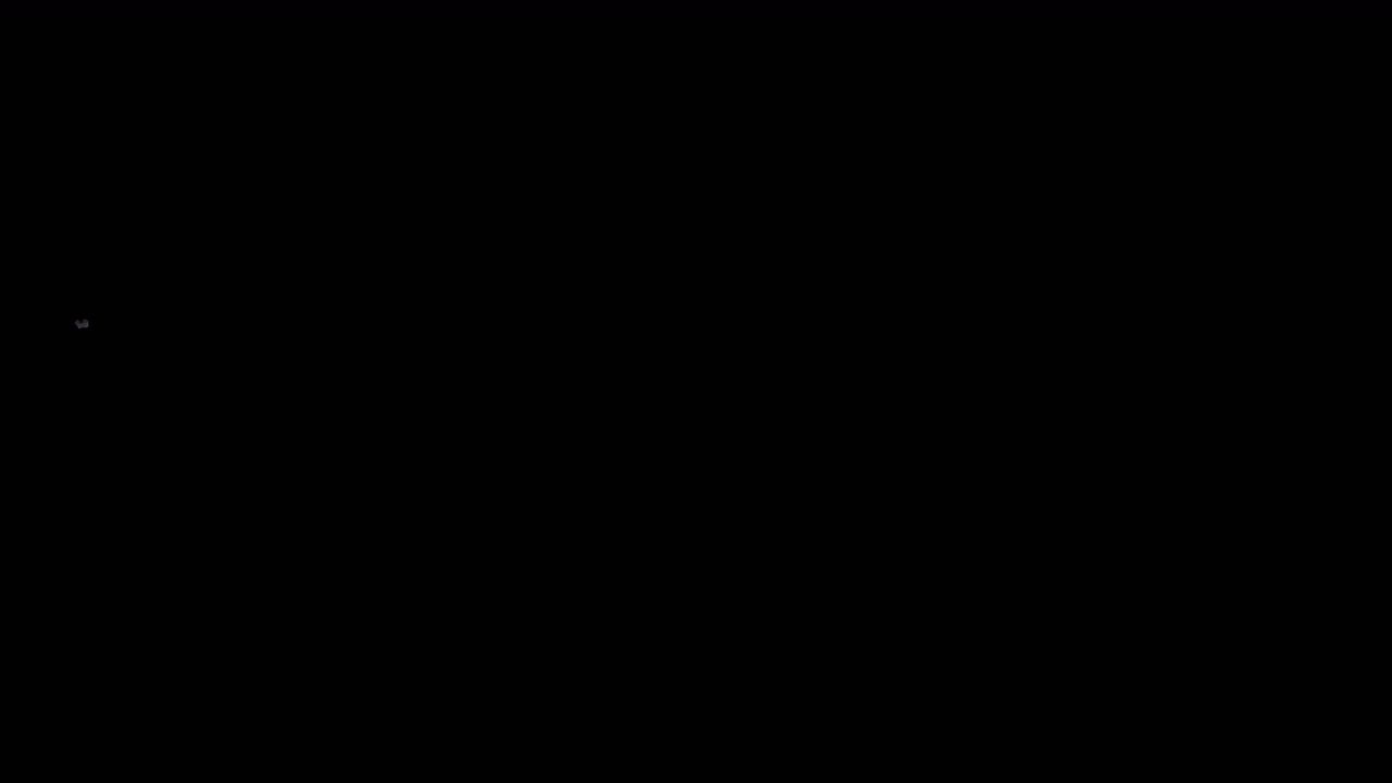 蝴蝶飞舞 带透明通道 