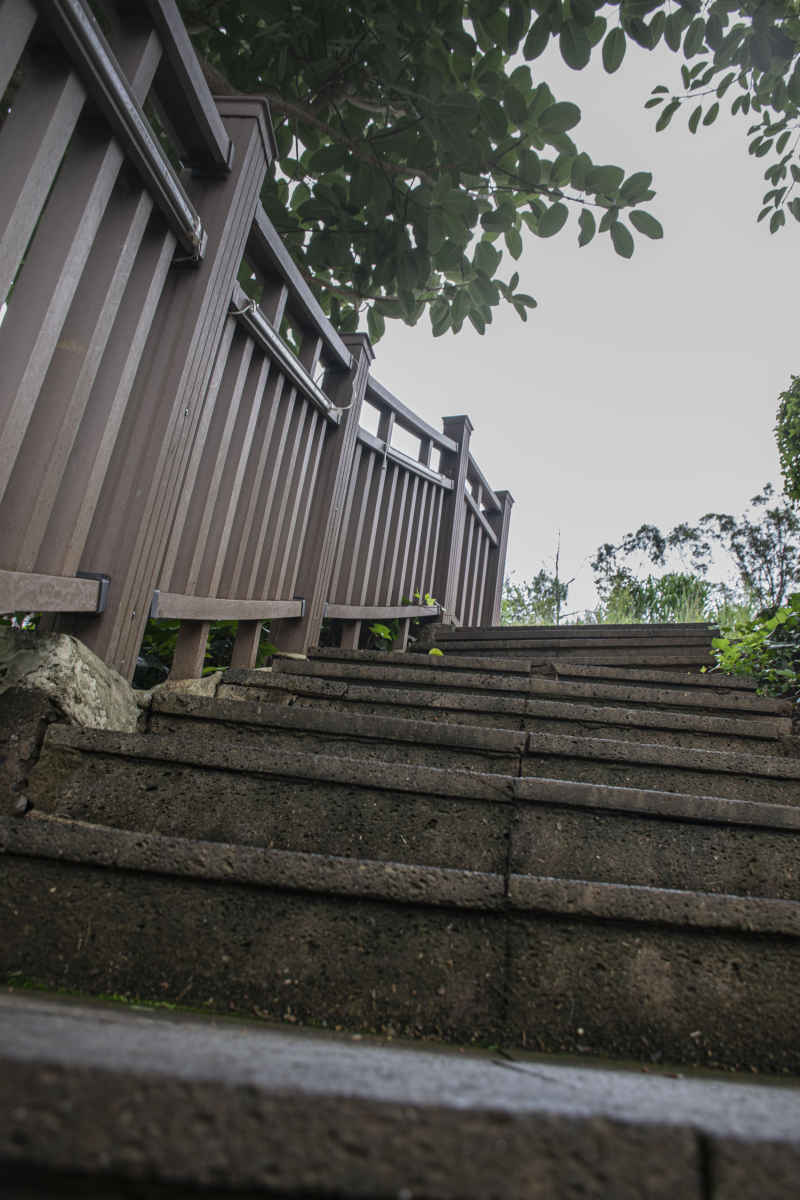 楼梯