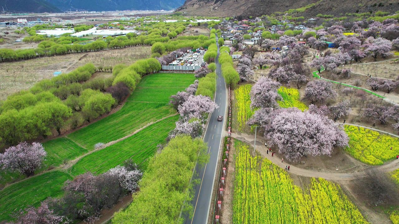 林芝桃花源