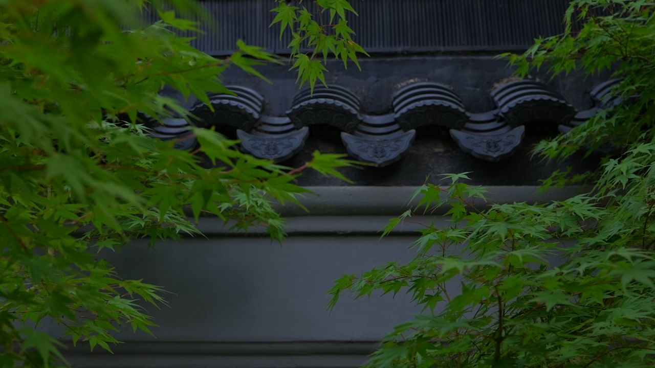 中式建筑空镜头