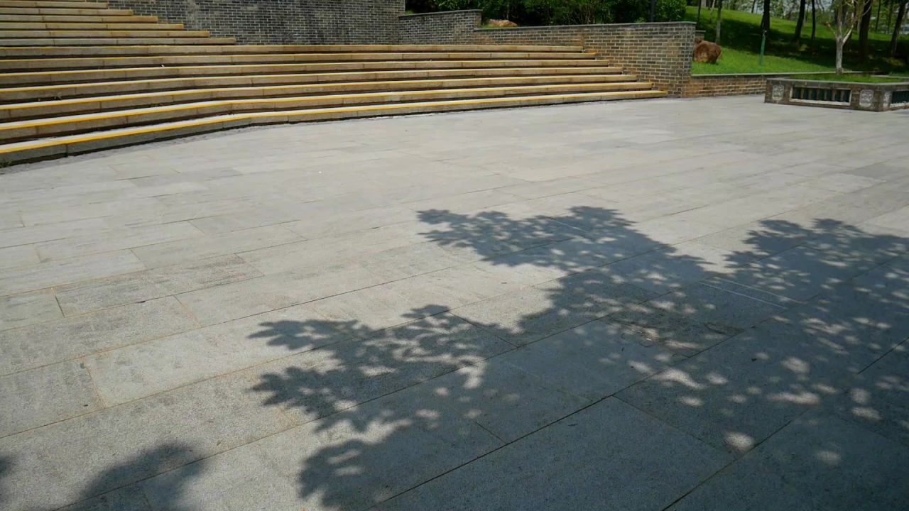 公园阳光地面树影