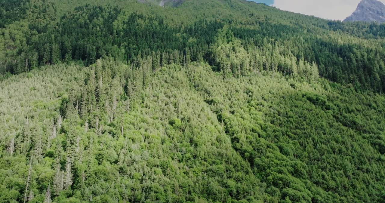 川西山谷云雾雪山自然风光实拍航拍壮观大气视频