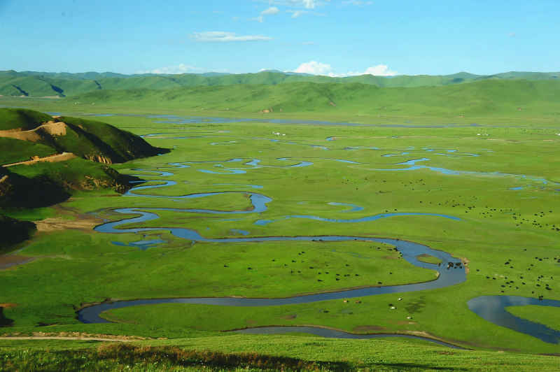 川西阿坝草原湿地的蜿蜒河曲