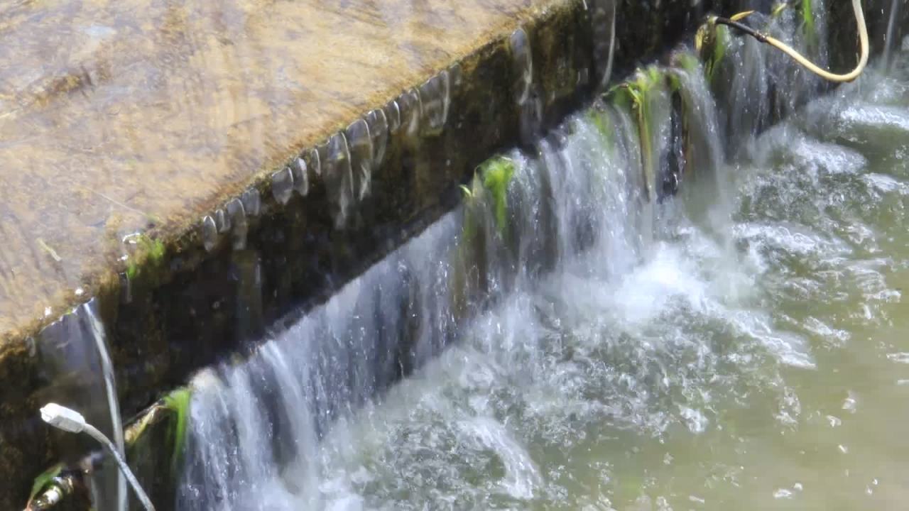 流水