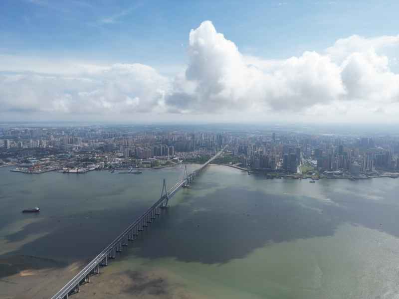 湛江市区鸟览