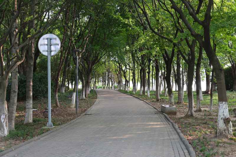 安静的路