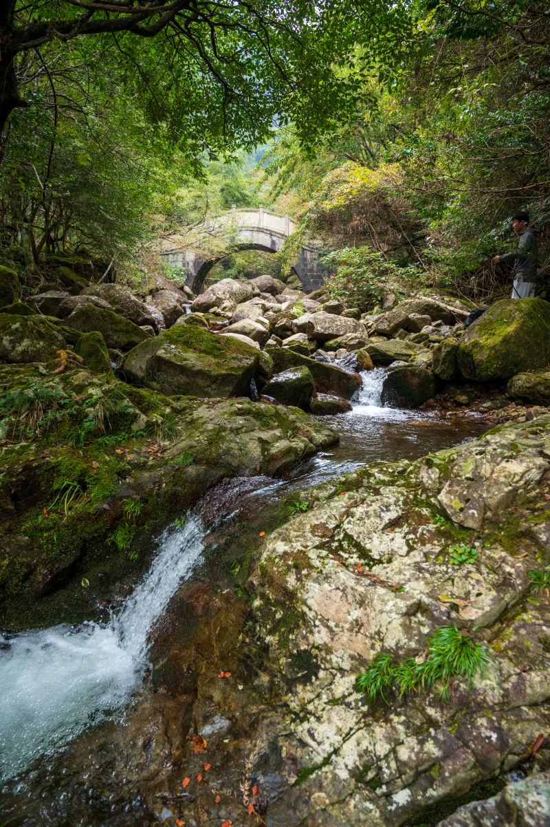 溪水从岩石中流出