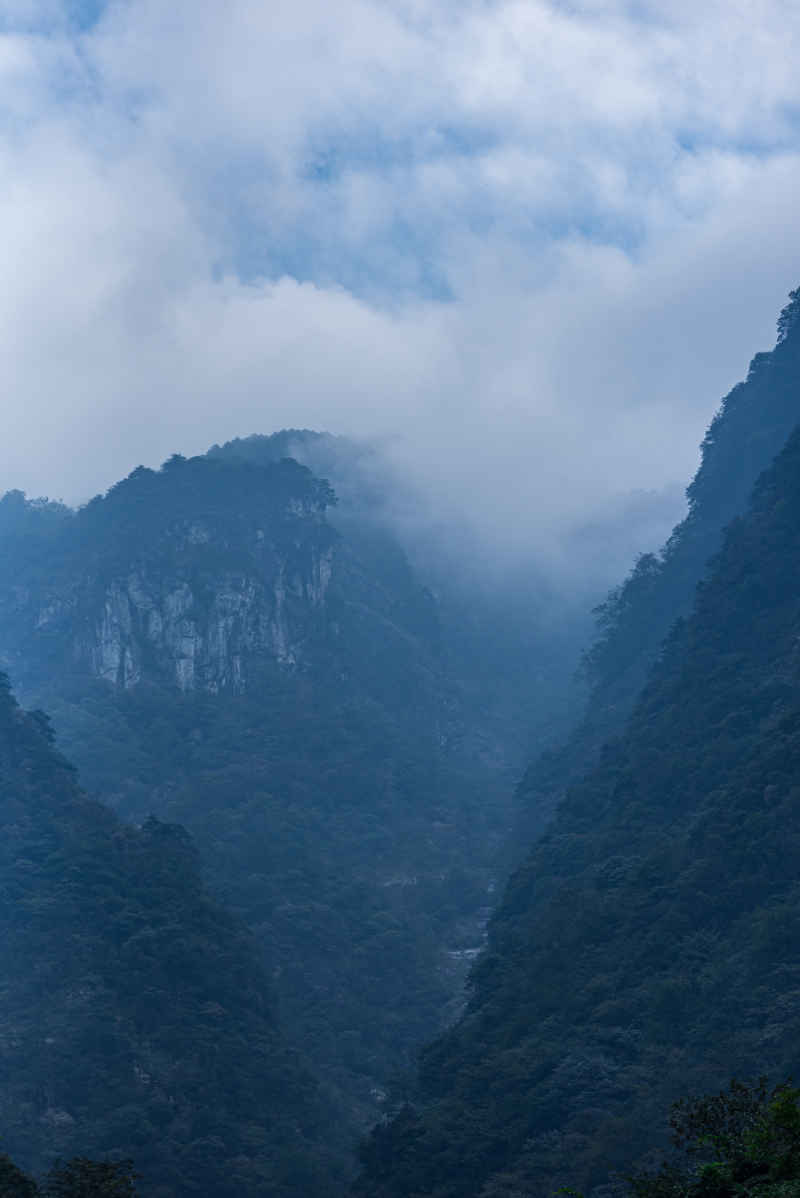 雾气山谷