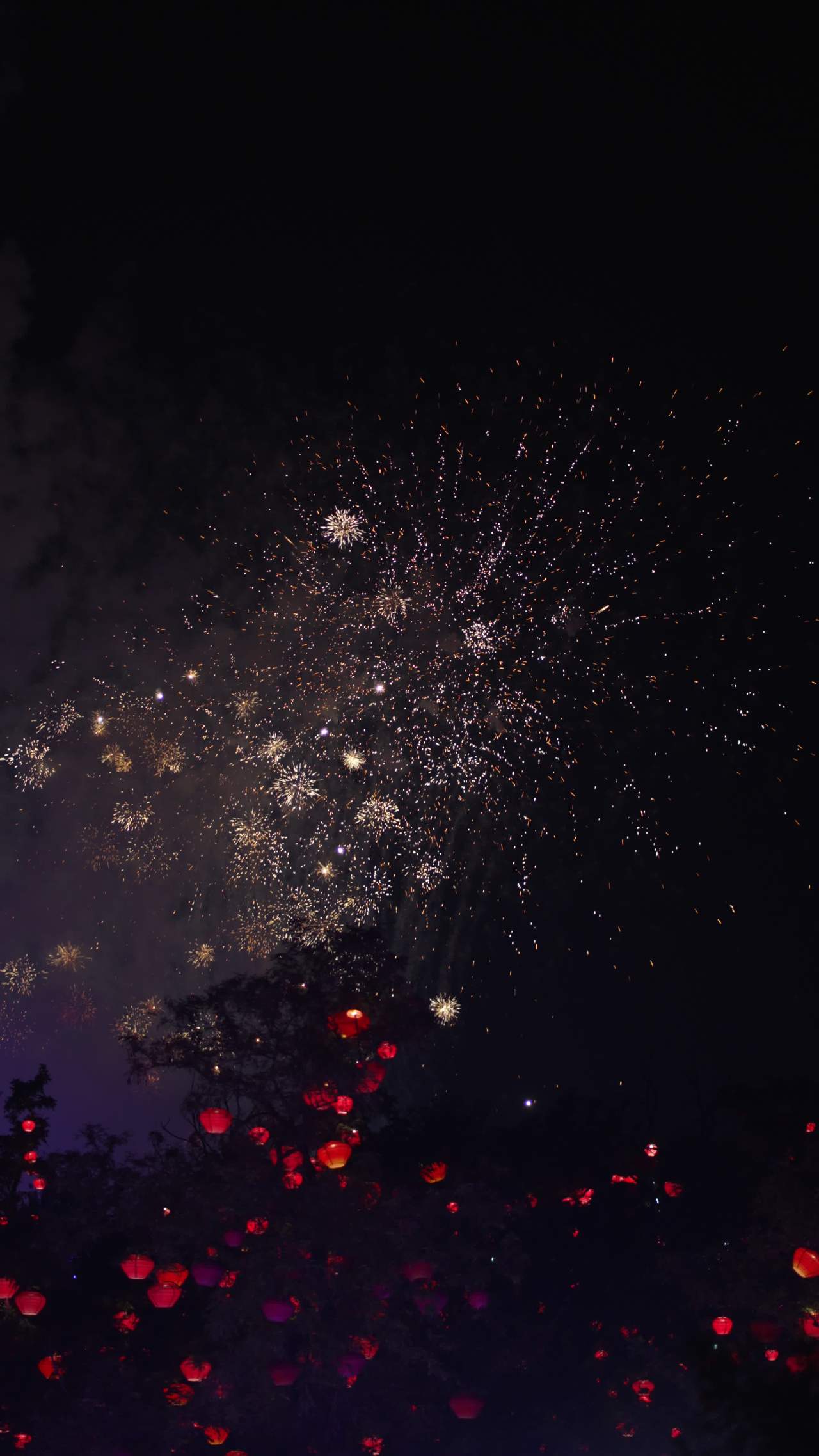 烟花🎇 3