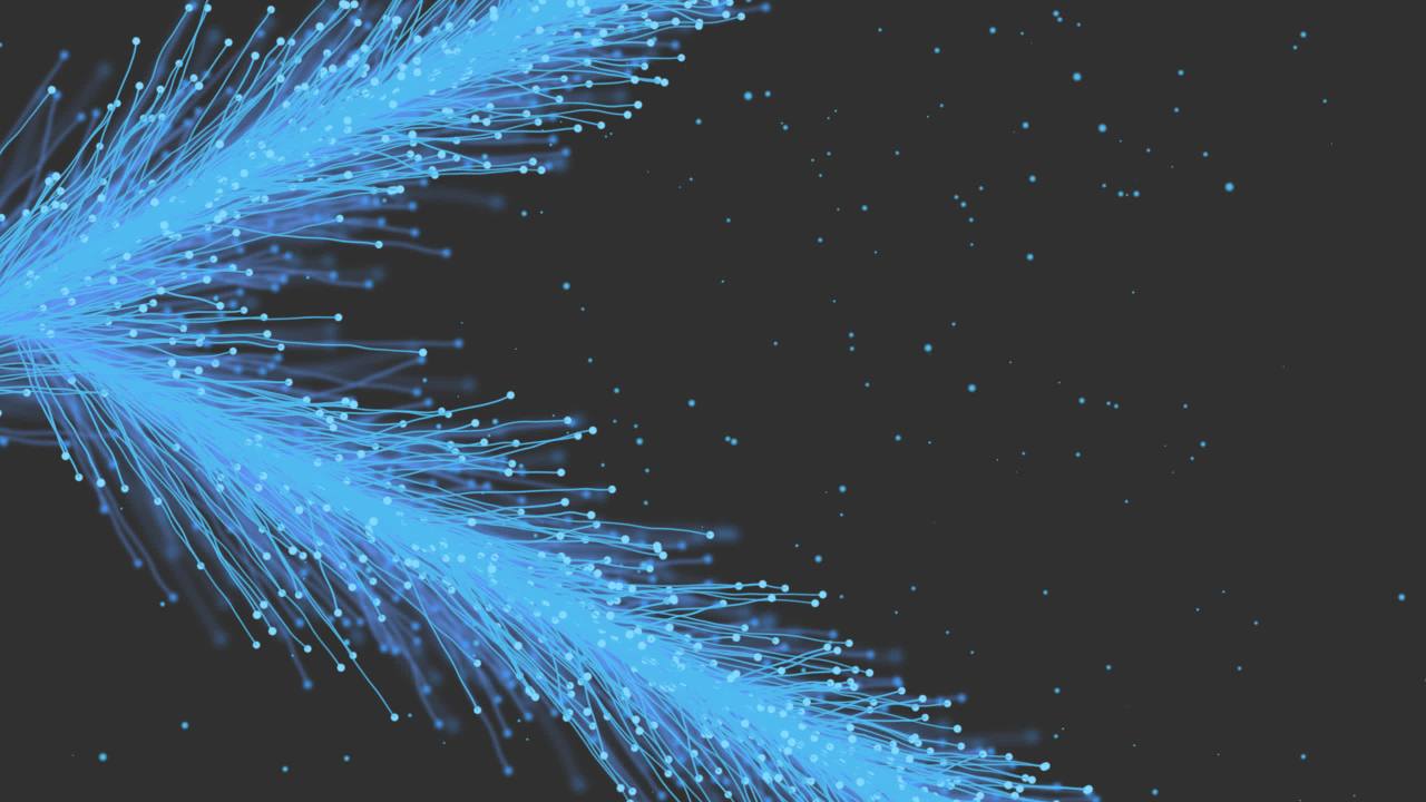 粒子羽毛