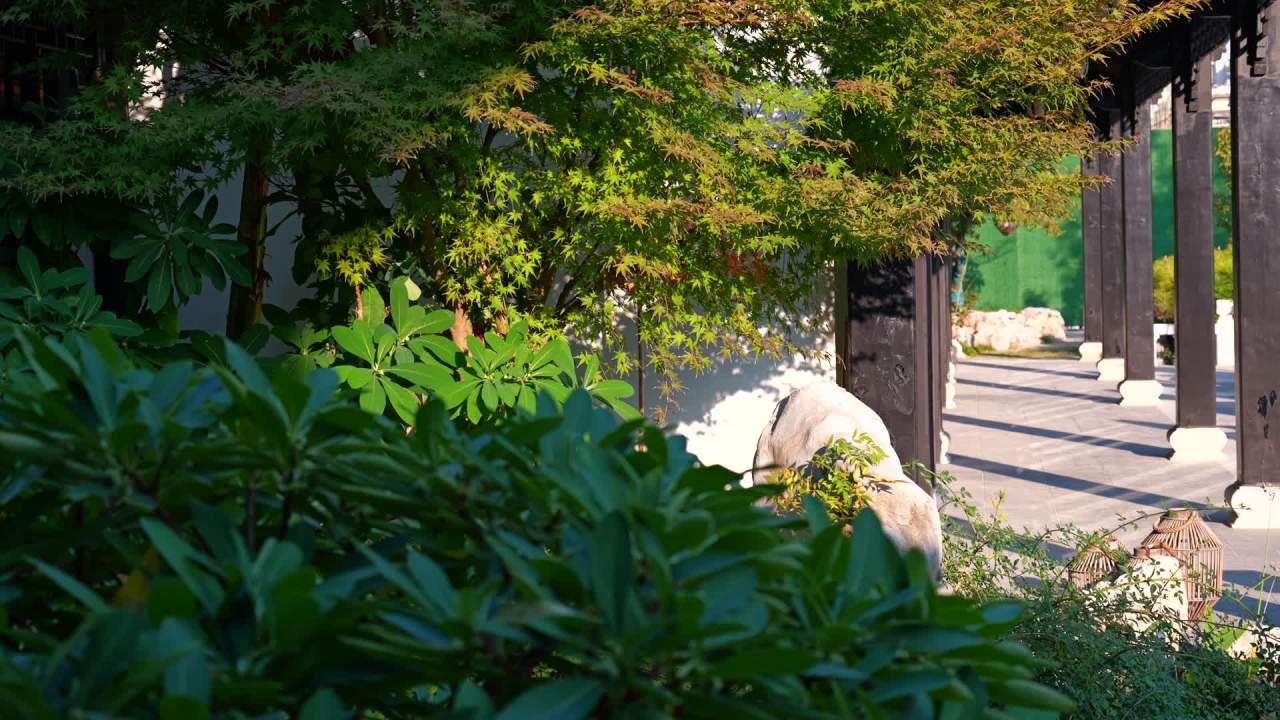 苏式园林-连廊
