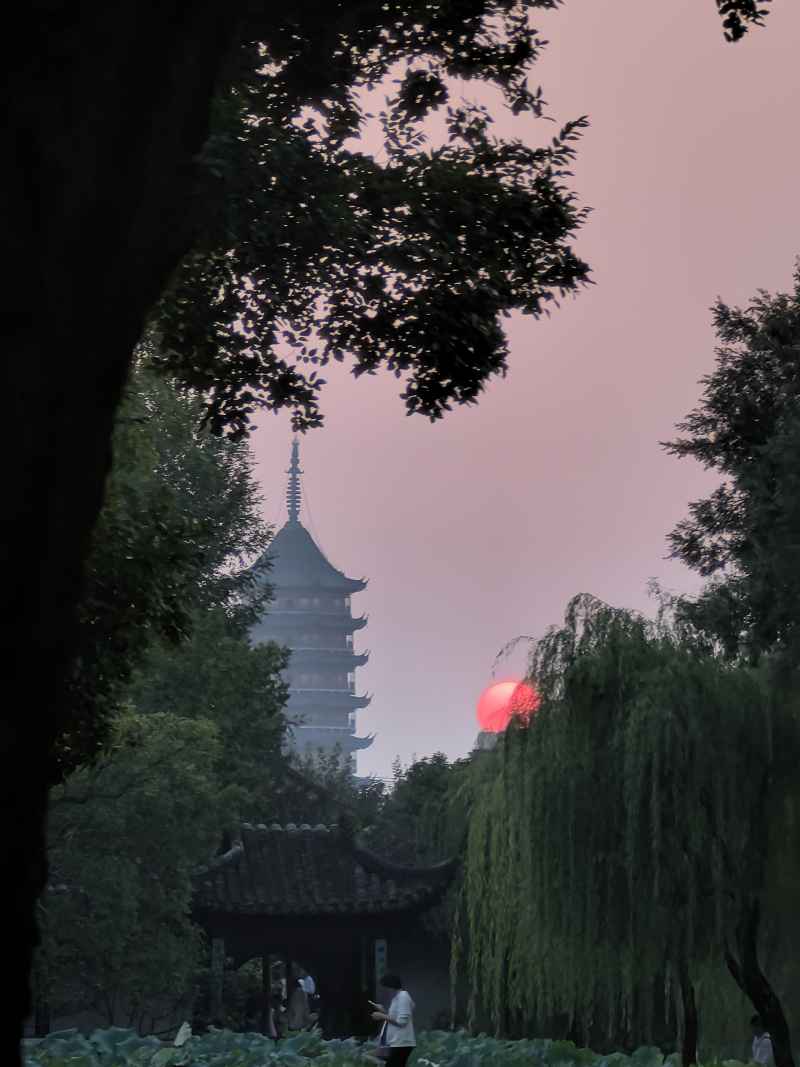 羞怯的落日