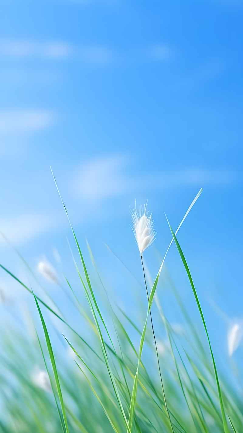 绿色唯美自然小草背景图 48