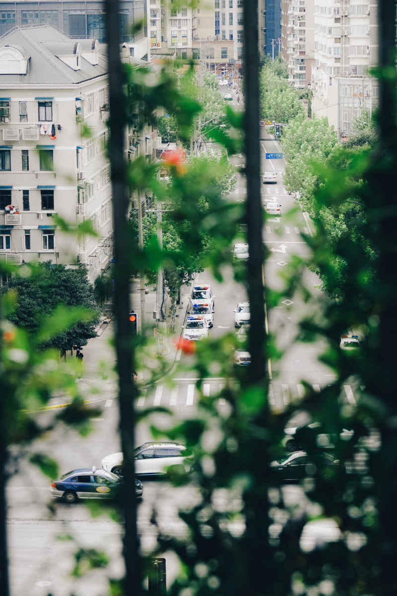 栏杆后的街道
