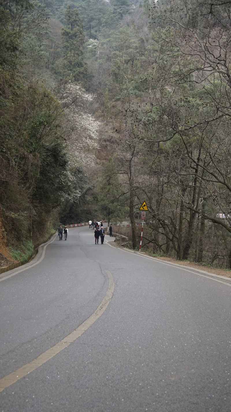 漫漫人生路
