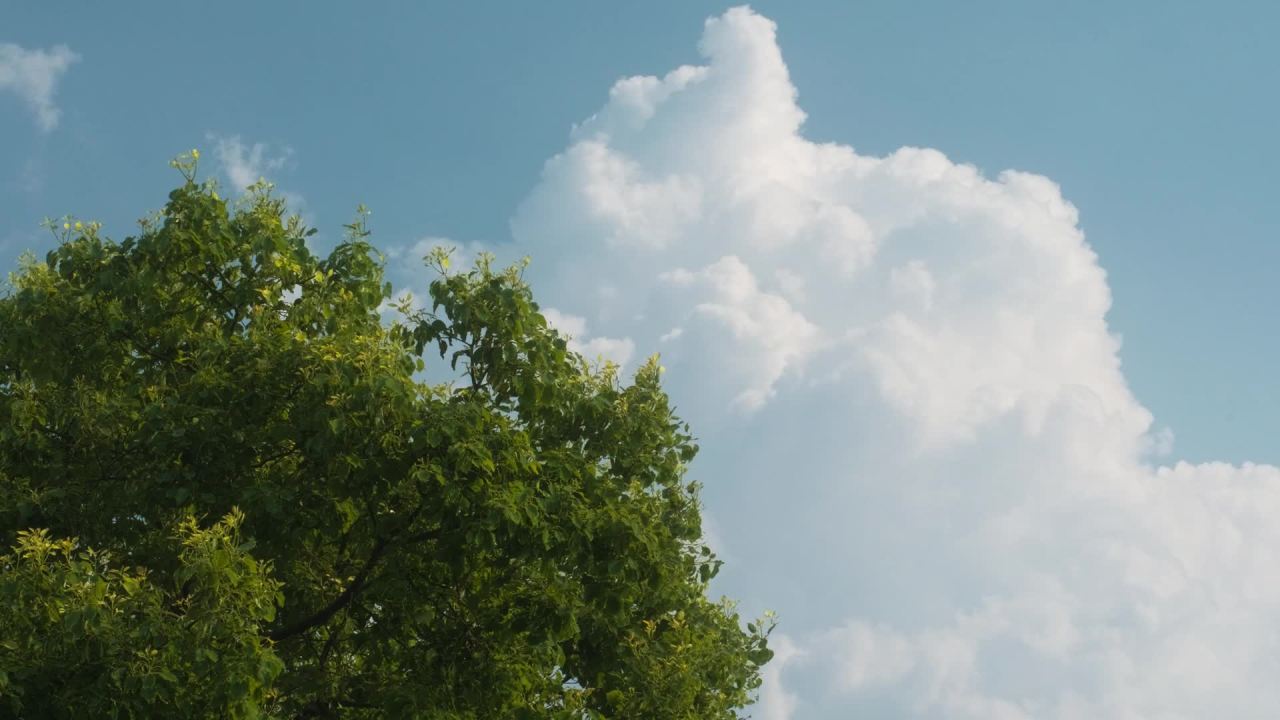 天气晴朗蓝天白云延时摄影 48
