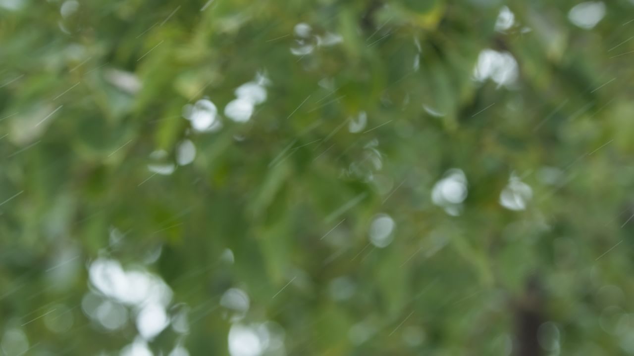 一天下雨水滴 18