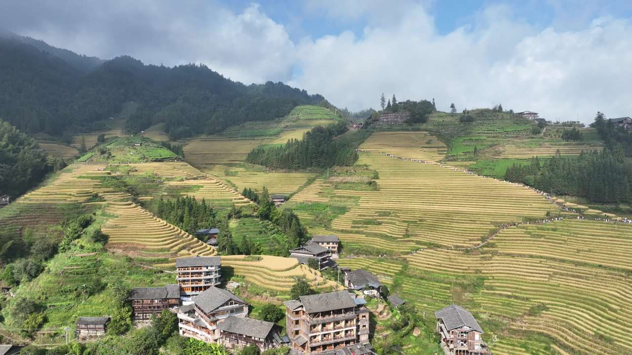 4K航拍桂林龙脊梯田风光 6